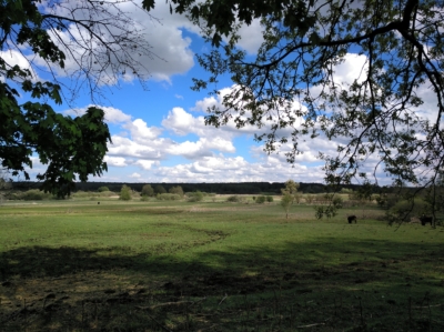 habitat