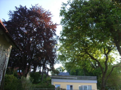 habitat