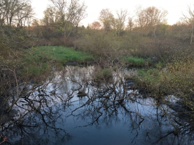 habitat