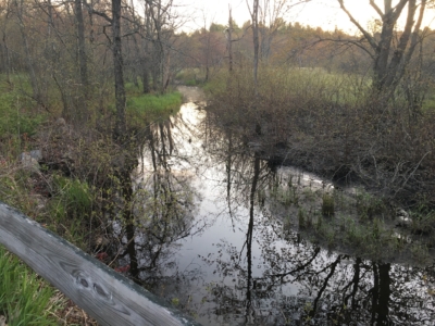 habitat