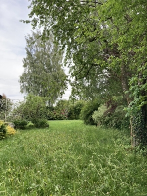 habitat