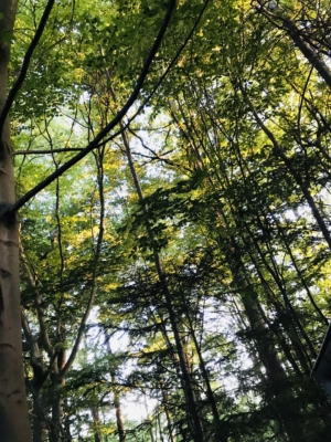 habitat