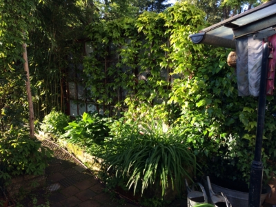 habitat