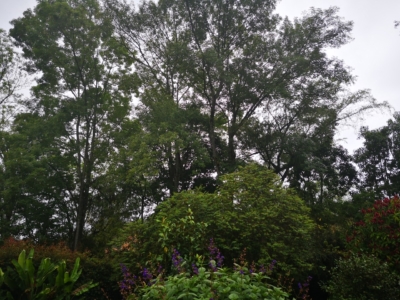 habitat