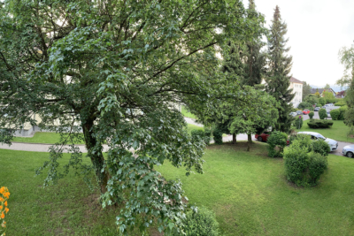 habitat