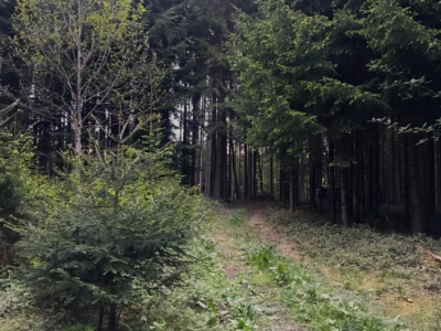 habitat
