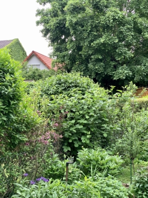 habitat