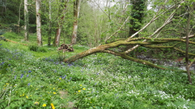 habitat