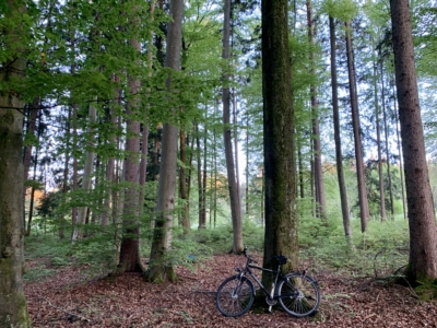 habitat