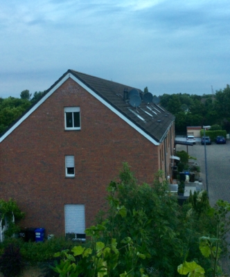 habitat