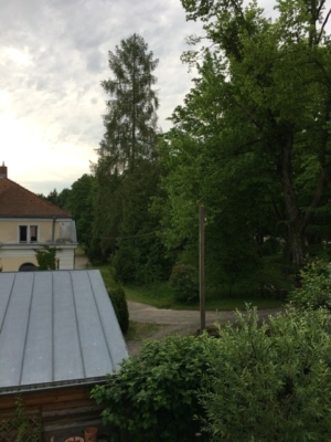 habitat