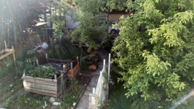 habitat