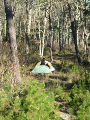 habitat
