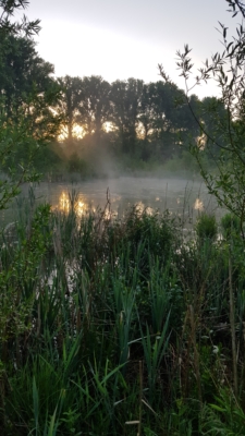 habitat