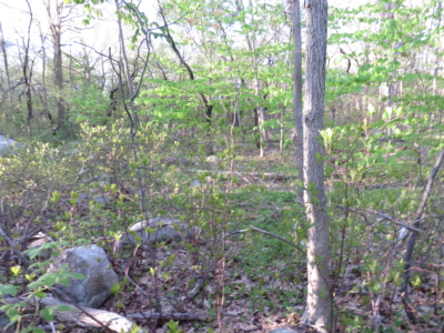 habitat