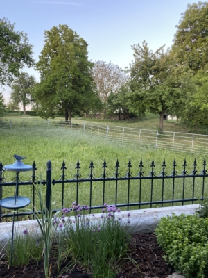habitat