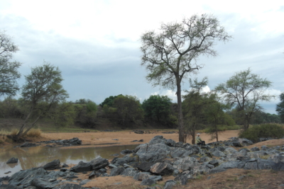 habitat