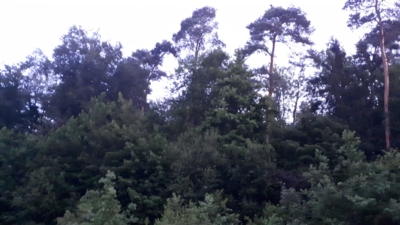 habitat