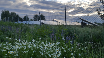 habitat