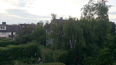 habitat