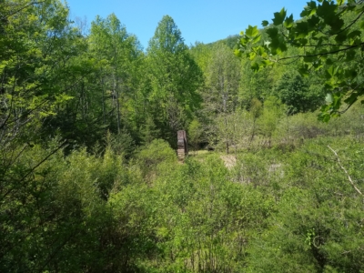 habitat