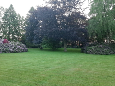 habitat