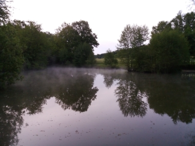 habitat