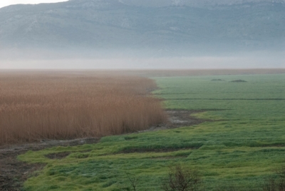 habitat