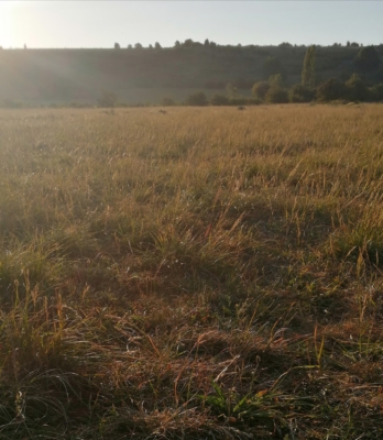 habitat