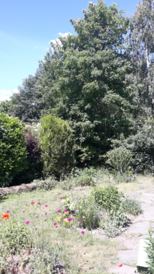 habitat