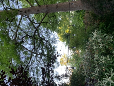 habitat