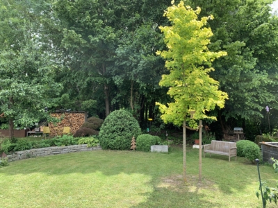 habitat
