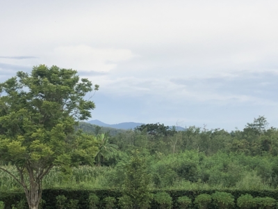 habitat