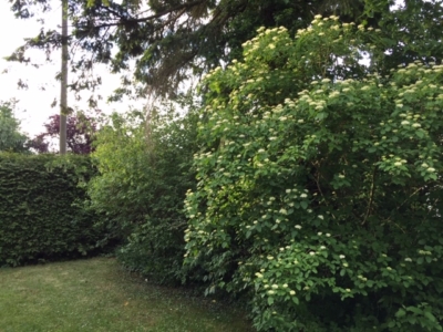 habitat