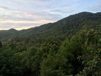 habitat
