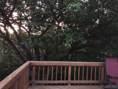 habitat