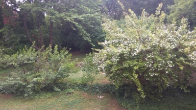 habitat