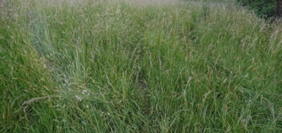 habitat