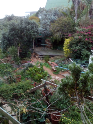 habitat