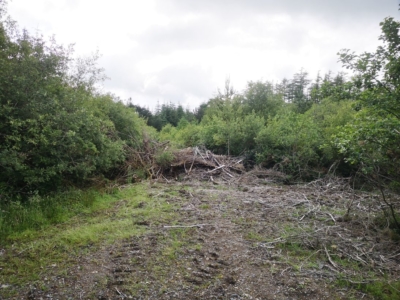 habitat