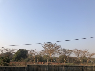 habitat