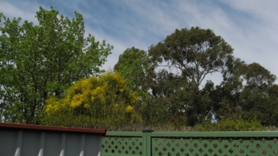 habitat