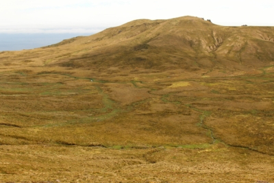 habitat