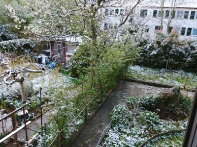 habitat